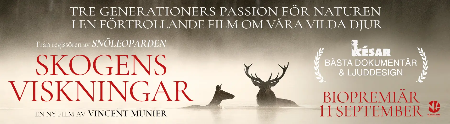 skogens-viskningar-1880×520-1